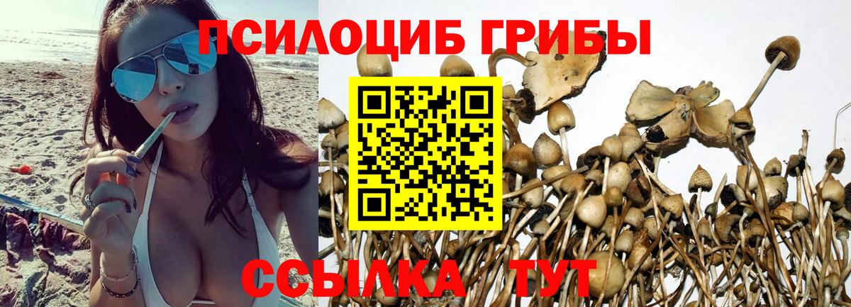 где купить наркотик  Галлюциногенные грибы Cubensis  Печора  Вход с VPN  Галлюциногенные грибы MAGIC MUSHROOMS 