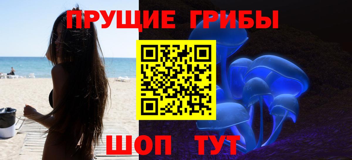 Псилоцибиновые грибы GOLDEN TEACHER Печора