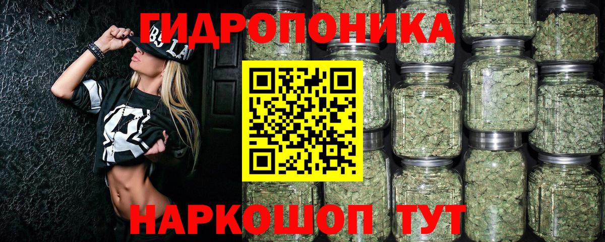 Конопля план  Бошки марихуана планчик  Печора  Каннабис планчик  Вход с VPN 